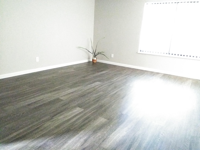 Somerset Apartments photo 2